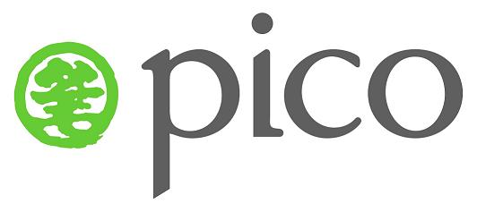 Pico International (HK) Ltd Logo